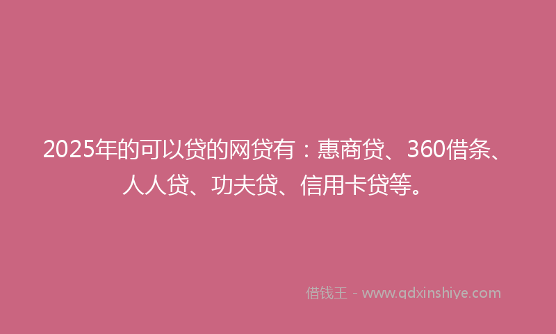 2025年的可以贷的网贷有：惠商贷、360借条、人人贷、功夫贷、信用卡贷等。