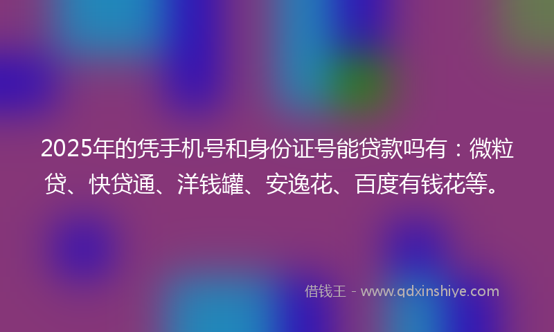 2025年的凭手机号和身份证号能贷款吗有：微粒贷、快贷通、洋钱罐、安逸花、百度有钱花等。