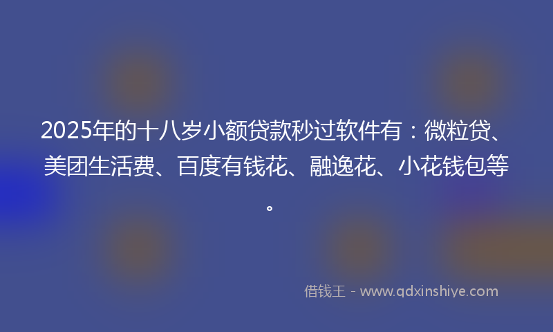 2025年的十八岁小额贷款秒过软件有：微粒贷、美团生活费、百度有钱花、融逸花、小花钱包等。