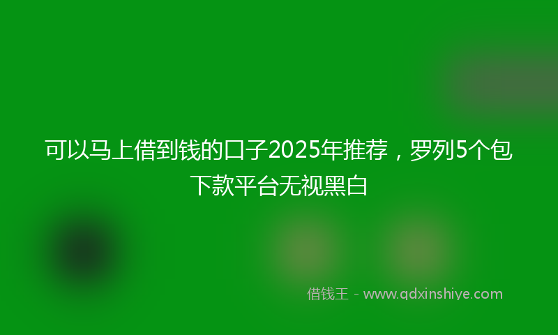 可以马上借到钱的口子2025年推荐，罗列5个包下款平台无视黑白