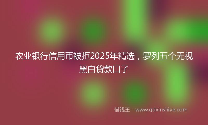 农业银行信用币被拒2025年精选，罗列五个无视黑白贷款口子