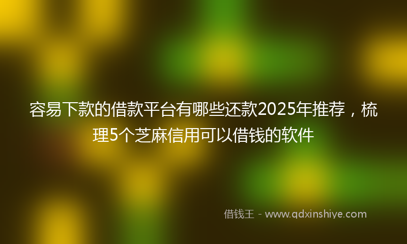 容易下款的借款平台有哪些还款2025年推荐，梳理5个芝麻信用可以借钱的软件