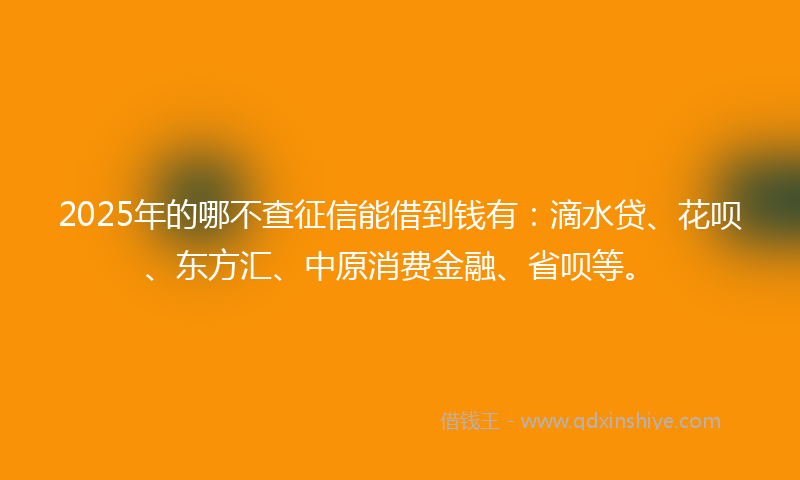 2025年的哪不查征信能借到钱有：滴水贷、花呗、东方汇、中原消费金融、省呗等。