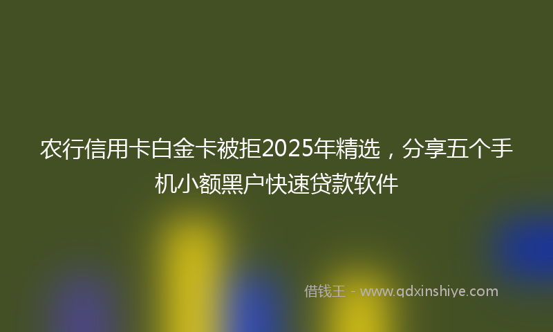 农行信用卡白金卡被拒2025年精选，分享五个手机小额黑户快速贷款软件