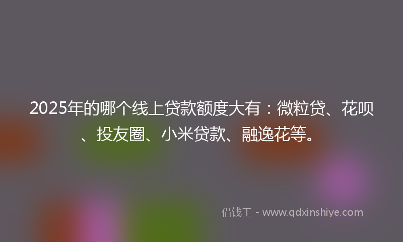 2025年的哪个线上贷款额度大有：微粒贷、花呗、投友圈、小米贷款、融逸花等。