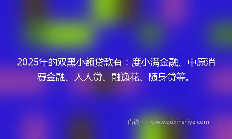 2025年的双黑小额贷款有：度小满金融、中原消费金融、人人贷、融逸花、随身贷等。