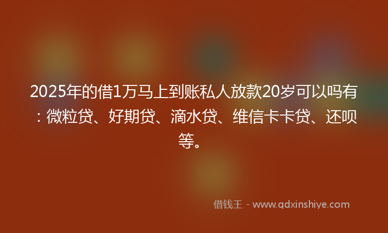 2025年的借1万马上到账私人放款20岁可以吗有：微粒贷、好期贷、滴水贷、维信卡卡贷、还呗等。
