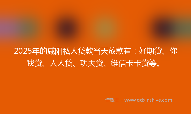 2025年的咸阳私人贷款当天放款有：好期贷、你我贷、人人贷、功夫贷、维信卡卡贷等。
