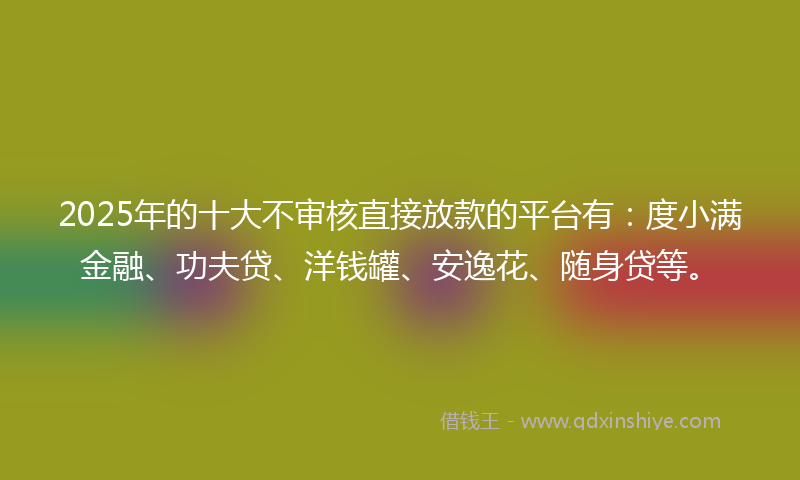 2025年的十大不审核直接放款的平台有：度小满金融、功夫贷、洋钱罐、安逸花、随身贷等。