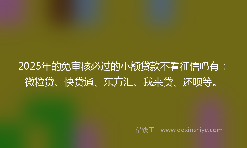 2025年的免审核必过的小额贷款不看征信吗有：微粒贷、快贷通、东方汇、我来贷、还呗等。