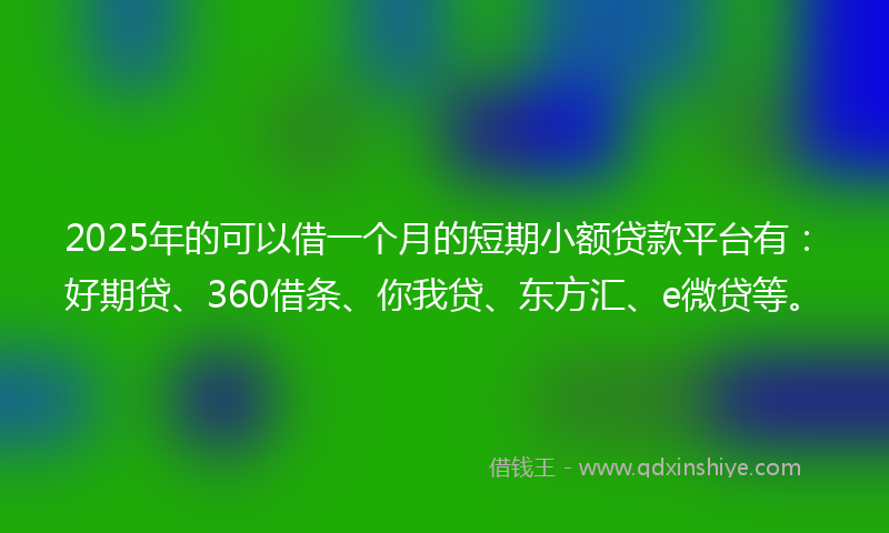 2025年的可以借一个月的短期小额贷款平台有：好期贷、360借条、你我贷、东方汇、e微贷等。