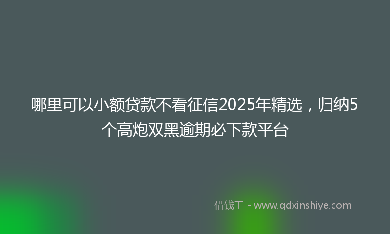 哪里可以小额贷款不看征信2025年精选，归纳5个高炮双黑逾期必下款平台