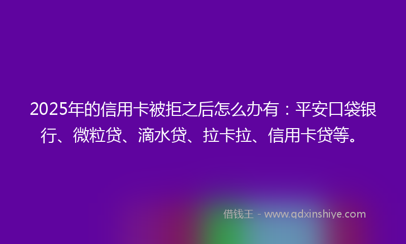 2025年的信用卡被拒之后怎么办有：平安口袋银行、微粒贷、滴水贷、拉卡拉、信用卡贷等。