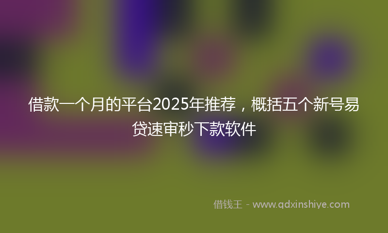 借款一个月的平台2025年推荐，概括五个新号易贷速审秒下款软件