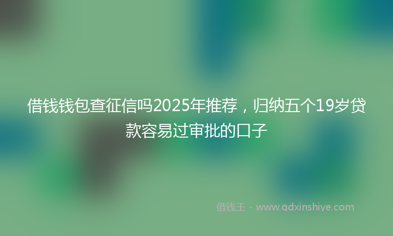借钱钱包查征信吗2025年推荐，归纳五个19岁贷款容易过审批的口子