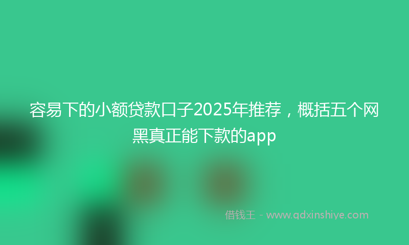 容易下的小额贷款口子2025年推荐，概括五个网黑真正能下款的app