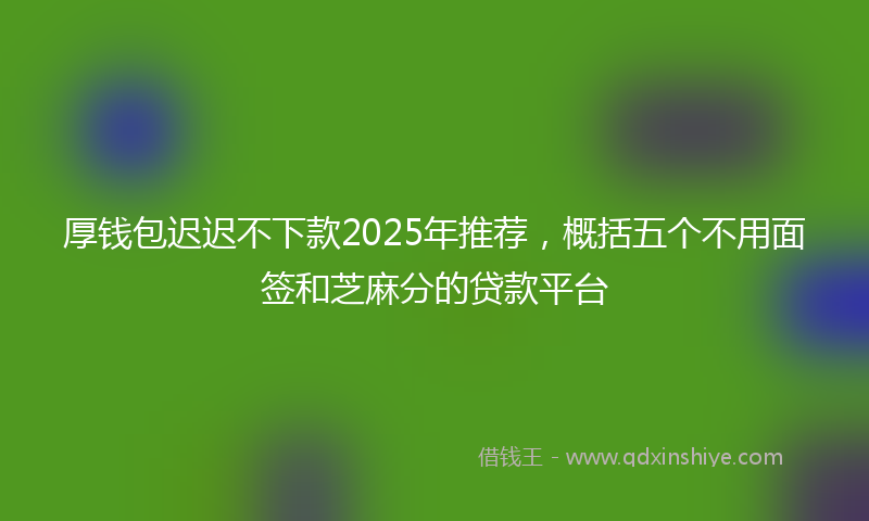 厚钱包迟迟不下款2025年推荐，概括五个不用面签和芝麻分的贷款平台