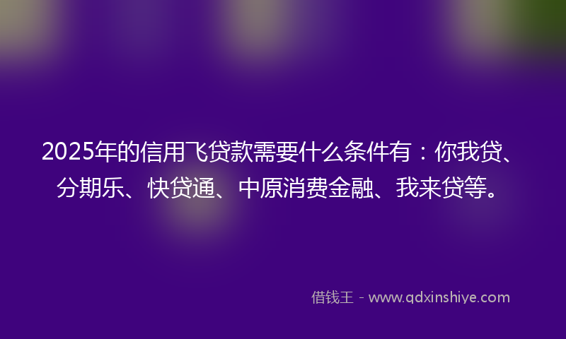 2025年的信用飞贷款需要什么条件有：你我贷、分期乐、快贷通、中原消费金融、我来贷等。