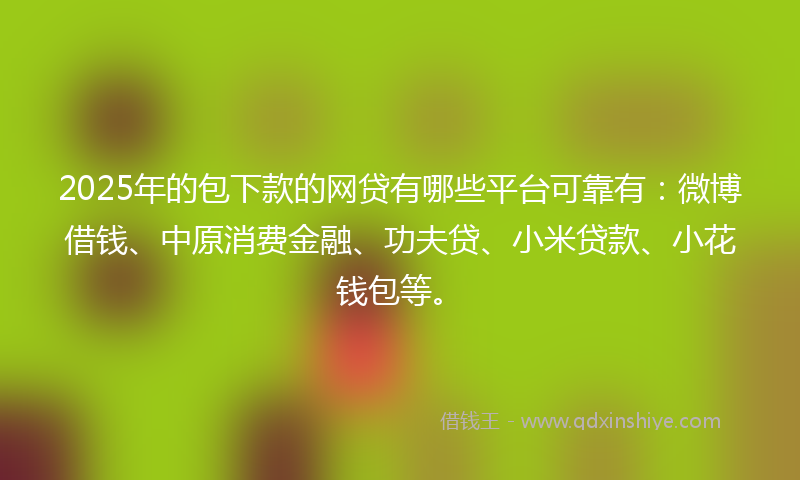 2025年的包下款的网贷有哪些平台可靠有：微博借钱、中原消费金融、功夫贷、小米贷款、小花钱包等。