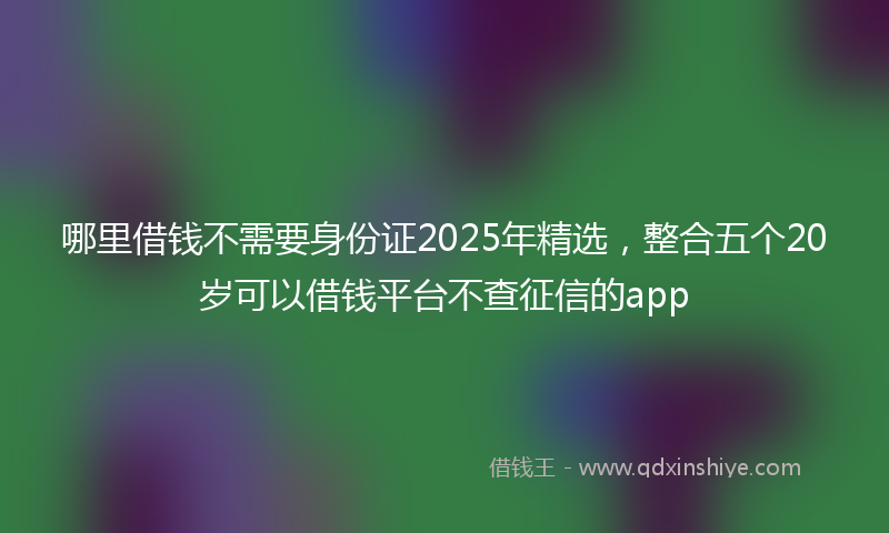 哪里借钱不需要身份证2025年精选，整合五个20岁可以借钱平台不查征信的app