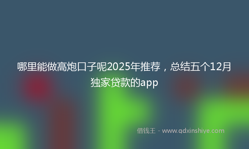 哪里能做高炮口子呢2025年推荐，总结五个12月独家贷款的app