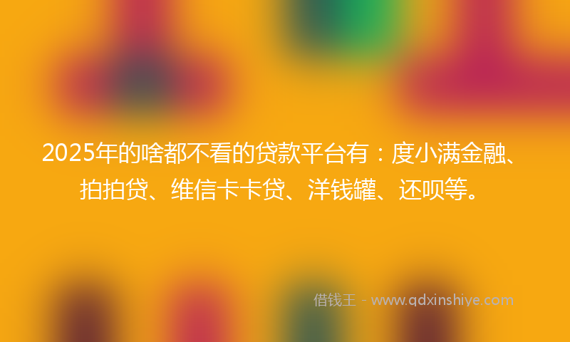 2025年的啥都不看的贷款平台有：度小满金融、拍拍贷、维信卡卡贷、洋钱罐、还呗等。
