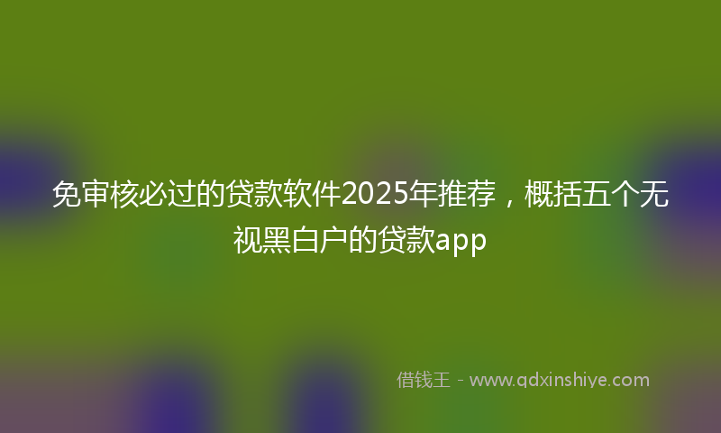 免审核必过的贷款软件2025年推荐，概括五个无视黑白户的贷款app