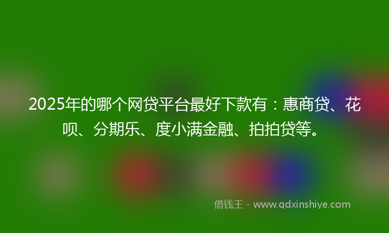 2025年的哪个网贷平台最好下款有：惠商贷、花呗、分期乐、度小满金融、拍拍贷等。