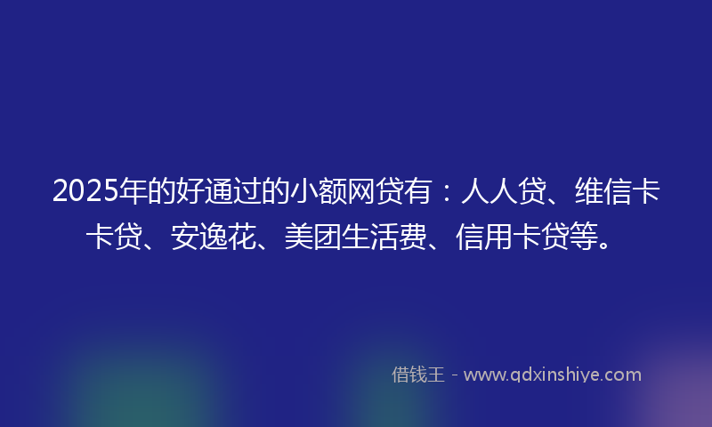 2025年的好通过的小额网贷有：人人贷、维信卡卡贷、安逸花、美团生活费、信用卡贷等。