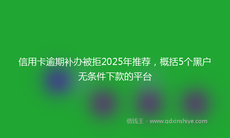 信用卡逾期补办被拒2025年推荐，概括5个黑户无条件下款的平台