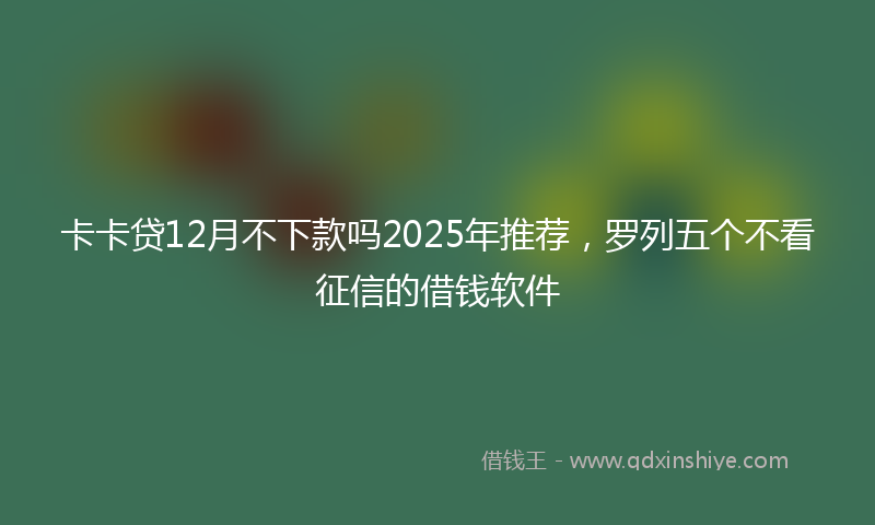卡卡贷12月不下款吗2025年推荐，罗列五个不看征信的借钱软件