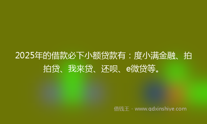 2025年的借款必下小额贷款有：度小满金融、拍拍贷、我来贷、还呗、e微贷等。