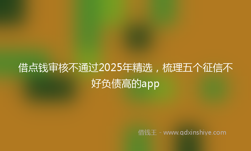 借点钱审核不通过2025年精选，梳理五个征信不好负债高的app