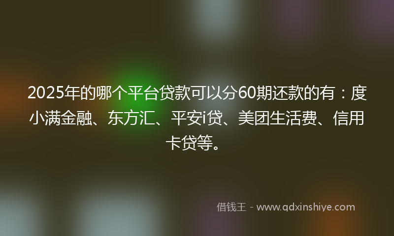 2025年的哪个平台贷款可以分60期还款的有：度小满金融、东方汇、平安i贷、美团生活费、信用卡贷等。