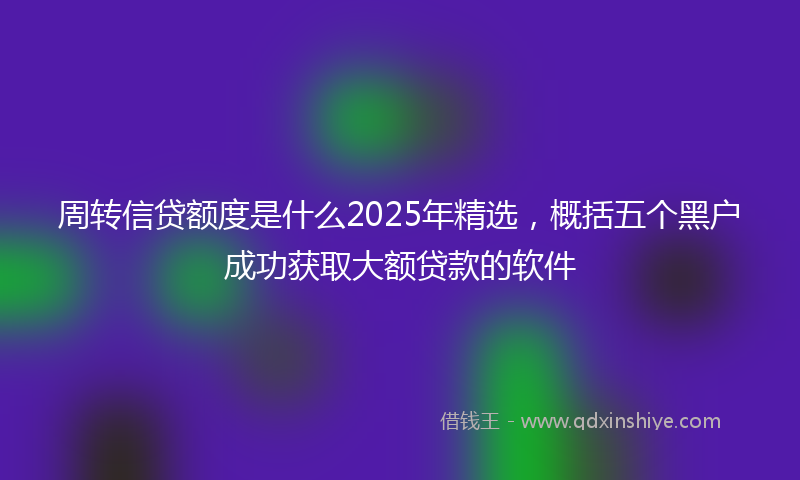 周转信贷额度是什么2025年精选，概括五个黑户成功获取大额贷款的软件