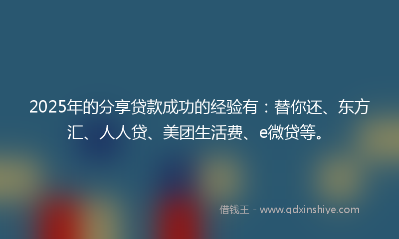 2025年的分享贷款成功的经验有：替你还、东方汇、人人贷、美团生活费、e微贷等。