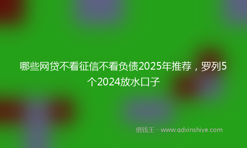 哪些网贷不看征信不看负债2025年推荐，罗列5个2024放水口子