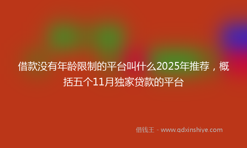 借款没有年龄限制的平台叫什么2025年推荐，概括五个11月独家贷款的平台