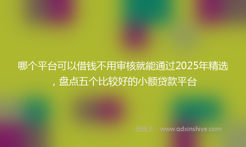 哪个平台可以借钱不用审核就能通过2025年精选，盘点五个比较好的小额贷款平台