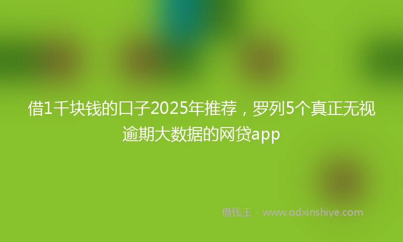 借1千块钱的口子2025年推荐，罗列5个真正无视逾期大数据的网贷app