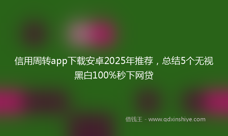 信用周转app下载安卓2025年推荐，总结5个无视黑白100%秒下网贷
