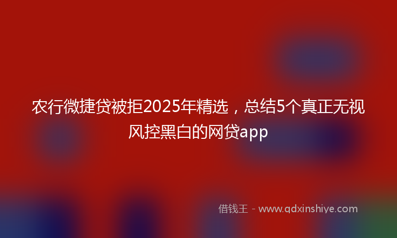 农行微捷贷被拒2025年精选，总结5个真正无视风控黑白的网贷app