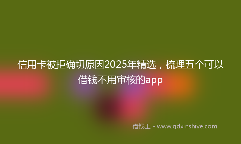 信用卡被拒确切原因2025年精选，梳理五个可以借钱不用审核的app
