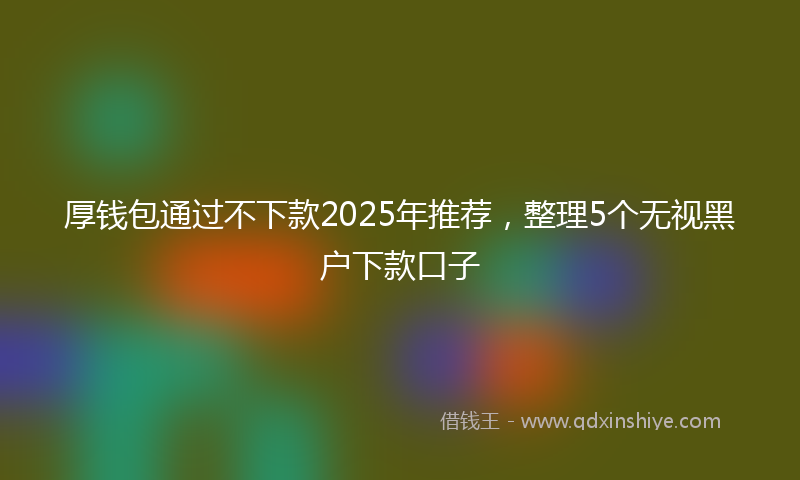 厚钱包通过不下款2025年推荐，整理5个无视黑户下款口子