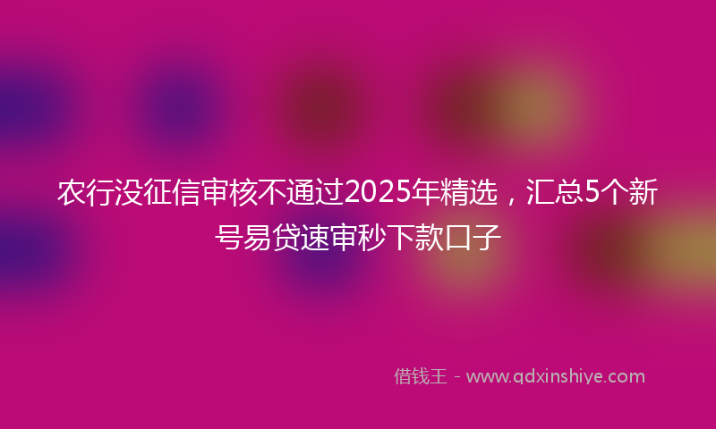 农行没征信审核不通过2025年精选，汇总5个新号易贷速审秒下款口子
