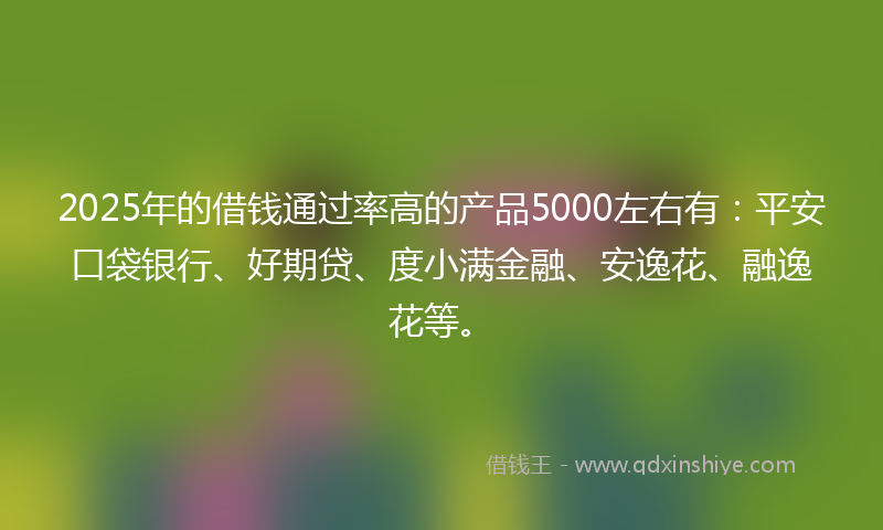 2025年的借钱通过率高的产品5000左右有：平安口袋银行、好期贷、度小满金融、安逸花、融逸花等。