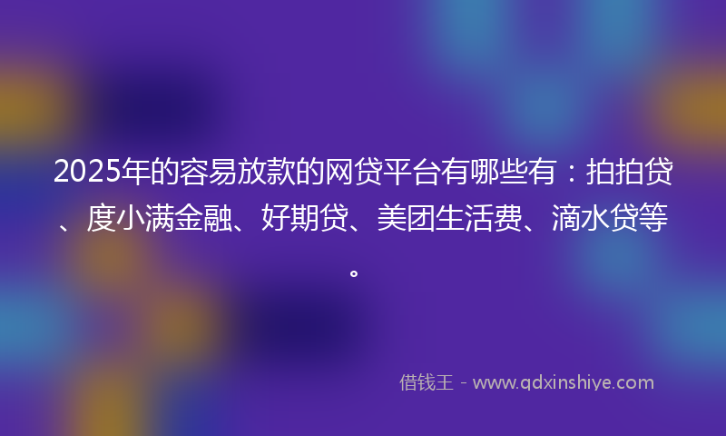 2025年的容易放款的网贷平台有哪些有：拍拍贷、度小满金融、好期贷、美团生活费、滴水贷等。