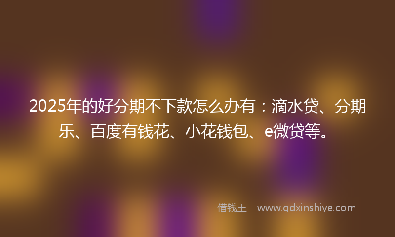 2025年的好分期不下款怎么办有：滴水贷、分期乐、百度有钱花、小花钱包、e微贷等。
