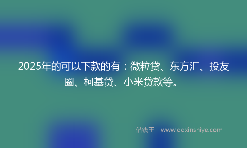 2025年的可以下款的有：微粒贷、东方汇、投友圈、柯基贷、小米贷款等。