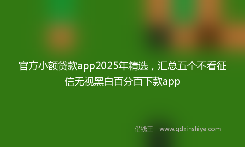 官方小额贷款app2025年精选，汇总五个不看征信无视黑白百分百下款app